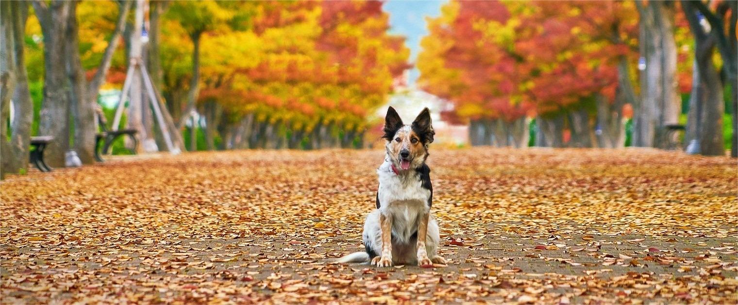 Puur Winkel -Puur Winkel 118694402 3178461625582761 4489015595289709473 n 1