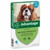 Advantage Advantage Hond 100 - 4-10 Kilo 4 Pip -Puur Winkel advantage advantage hond 100 4 10 kilo 4 pip