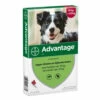 Advantage Advantage Hond 250 - 10-25 Kilo 4 Pip -Puur Winkel advantage advantage hond 250 10 25 kilo 4 pip