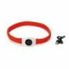 Beeztees Brede LED Halsband Hond - Verstelbaar - 65 X 2.5 Cm - Rood - Lichtgevende Halsband -Puur Winkel beeztees brede led halsband hond verstelbaar 65 x 1