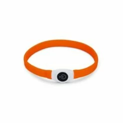 Beeztees Brede LED Halsband Hond - Verstelbaar - 65 X 2.5 Cm - Oranje - Lichtgevende Halsband
