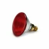 Beeztees Warmtelamp - Infrarood - PAR38 - 175 Watt -Puur Winkel beeztees warmtelamp infrarood par38 175 watt