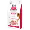 Brit Brit Adult Activity Support -Puur Winkel brit brit adult activity support