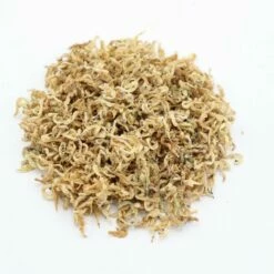 Herbimals Herbimals Dovenetelbloemen Wit