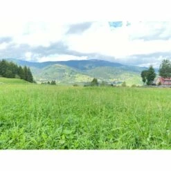 Herbimals Herbimals Pools Kruidenhooi -Puur Winkel herbimals herbimals pools kruidenhooi 3