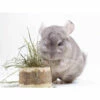 Herbimals Maand Abonnement Herbimals Kruidenbox - Chinchilla's -Puur Winkel herbimals maand abonnement herbimals kruidenbox ch