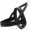 Hunter Hunter Harness Norweger Meldal - Zwart -Puur Winkel hunter hunter harness norweger meldal zwart