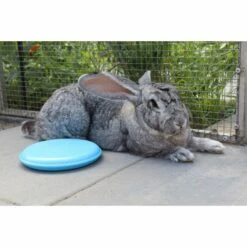 Keep It Cool Pakket - Konijn/Knaagdier -Puur Winkel keep it cool pakket konijn knaagdier 2