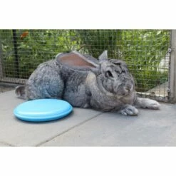 Keep It Cool Pakket - Konijn/Knaagdier