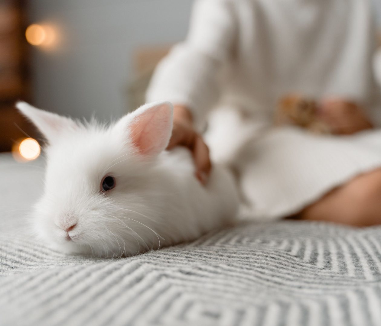 Puur Winkel -Puur Winkel kouneli