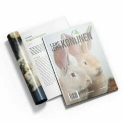 Lang Leven Konijnen Magazine Lang Leven Konijnen - Nummer 6