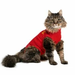 MPS Medical Pet Shirt Kat - 1 Stuk -Puur Winkel mps medical pet shirt kat 1 stuk 4