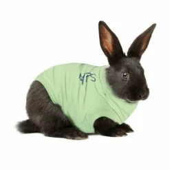MPS Medical Pet Shirt Konijn - 1 Stuk -Puur Winkel mps medical pet shirt konijn 1 stuk 7