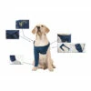 MPS Medical Pet Shirt TAZ Front Leg - 1 Stuk