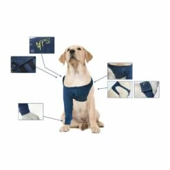 MPS Medical Pet Shirt TAZ Front Leg - 1 Stuk -Puur Winkel mps medical pet shirt taz front leg 1 stuk 11