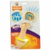 Nylabone Nylabone Dental Chew Bristle Brush Small -Puur Winkel nylabone nylabone dental chew bristle brush small