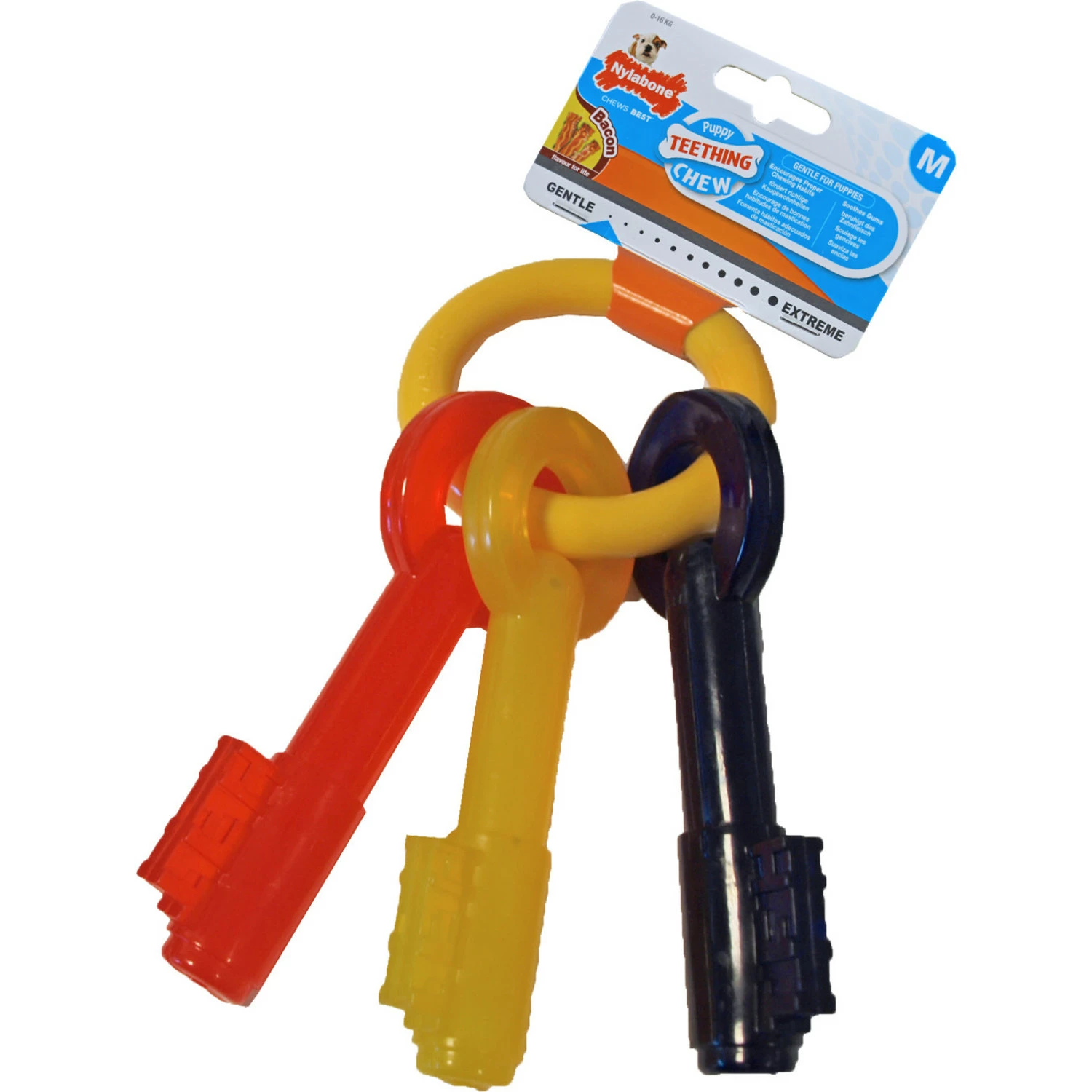 Nylabone Nylabone Puppy Chew Teething Key M 3 Nylabone Nylabone Puppy Chew Teething Key M