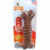 Nylabone Nylabone Regular Medley Bot - L -Puur Winkel nylabone nylabone regular medley bot l