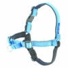 PetSafe Easy Walk Deluxe Harness - Ocean Blue -Puur Winkel petsafe easy walk deluxe harness ocean blue
