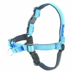 PetSafe Easy Walk Deluxe Harness - Ocean Blue -Puur Winkel petsafe easy walk deluxe harness ocean blue 2