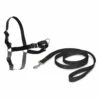 PetSafe Easy Walk Harness -Puur Winkel petsafe easy walk harness