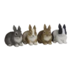 Polyresin Decoratie Dwergkonijn - Meerdere Kleuren -Puur Winkel polyresin decoratie dwergkonijn meerdere kleuren
