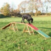 Trixie Trixie Agility Brug - 456x64x30 Cm - Tot 80 Kilo