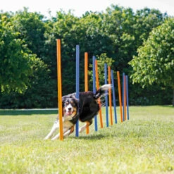 Trixie Trixie Agility Slalom - ø 3 × 115 Cm - 12 Stokken