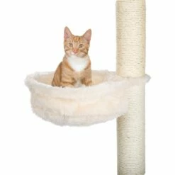 Trixie Trixie Hangmand Voor Krabpalen - Creme - 38 Cm - Tot 4.5 Kilo -Puur Winkel trixie trixie hangmand voor krabpalen creme 38 cm 1