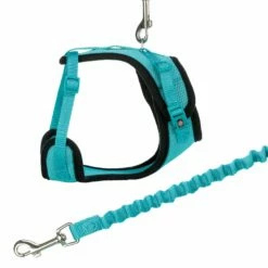 Trixie Trixie Katten Mesh Y Tuig Met Elastische Riem - 39-60 Cm - Verschillende Kleuren 17 Trixie Trixie Katten Mesh Y Tuig Met Elastische Riem - 39-60 Cm - Verschillende Kleuren -Puur Winkel trixie trixie katten mesh y tuig met elastische ri 7